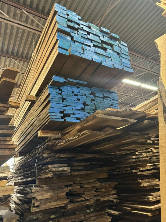 Wood Species Guide – Explore Domestic and Exotic Lumber