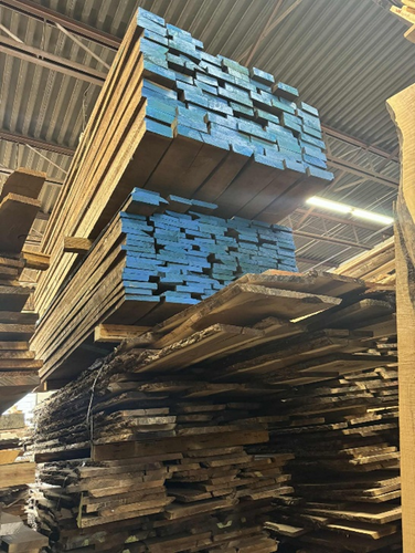 Wood Species Guide – Explore Domestic and Exotic Lumber