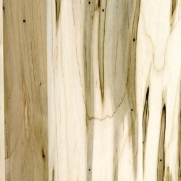 Ambrosia Maple Lumber: Nature’s Artwork in Every Board