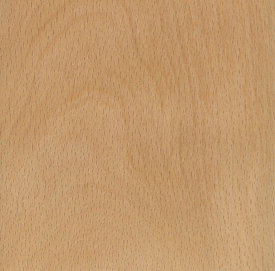 Beech Lumber: The Unsung Hero of Hardwoods