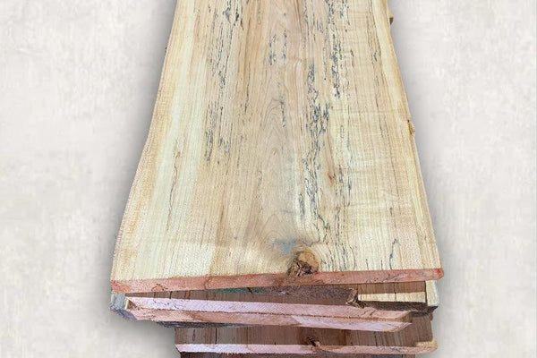 Spalted Maple