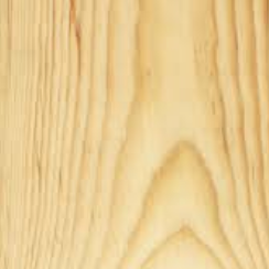 Pine