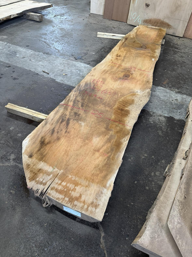 Sycamore 125x23x12/4