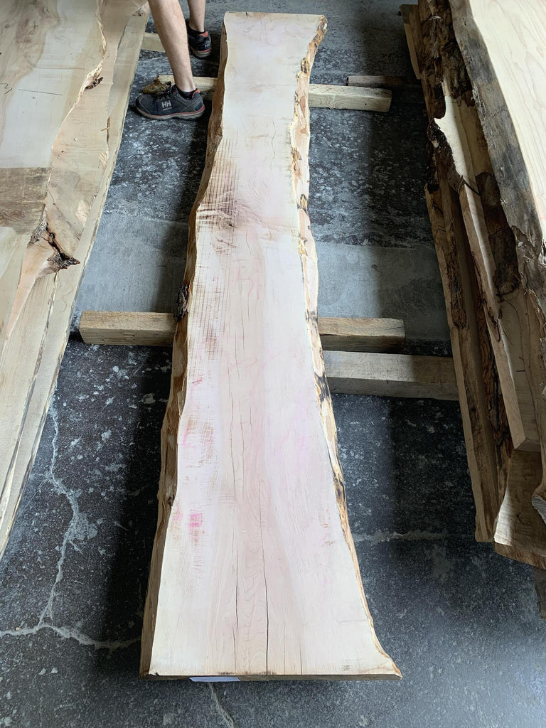 Sugar Maple 115x18x10/4