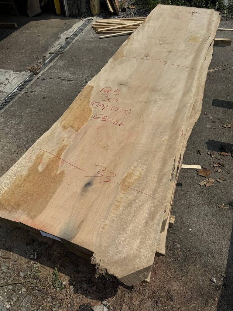 Sycamore 125x30x10/4