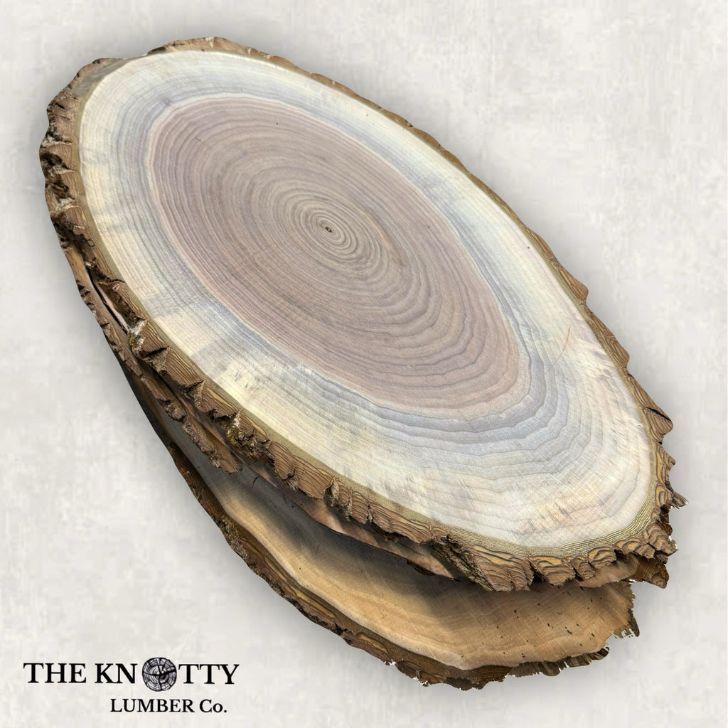 Black Walnut Ovals, 5 Pack