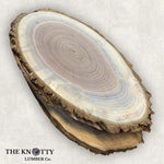 Black Walnut Ovals, 5 Pack