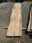 Sycamore 126x26x10/4