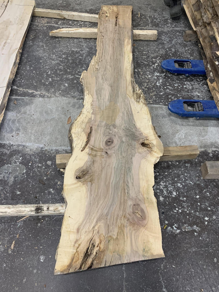 Ambrosia Maple 104x19x10/4