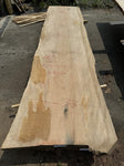 Sycamore 125x30x10/4