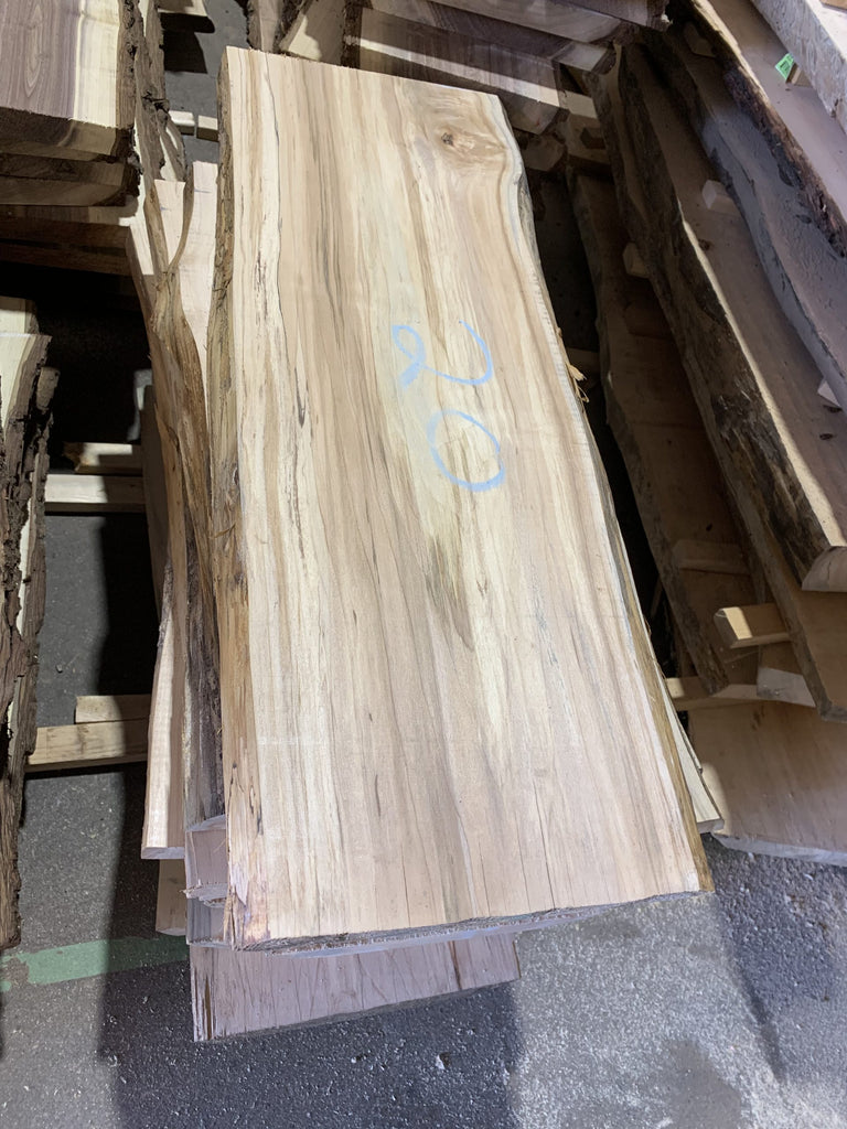 Spalted Maple - 5 Pack