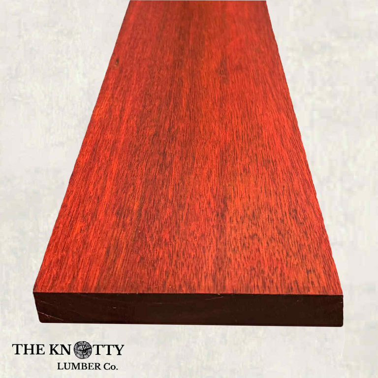 Red Plank of bloodwood on a white background with 'The Knotty Lumber Co.' branding.