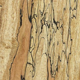 Featured image for Spalted Maple