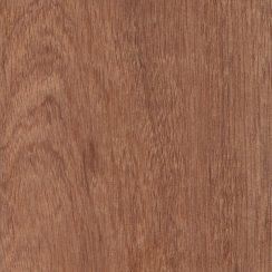 Sapele 4/4