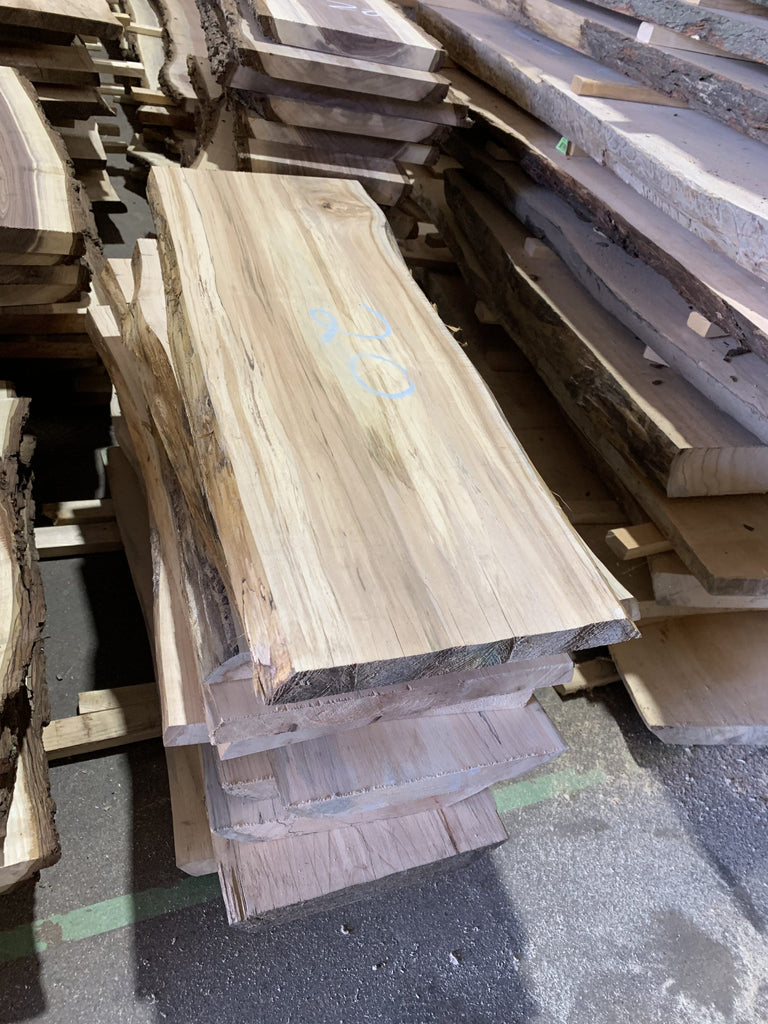 Spalted Maple - 5 Pack