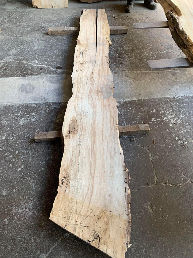 Sugar Maple 134x19x10/4