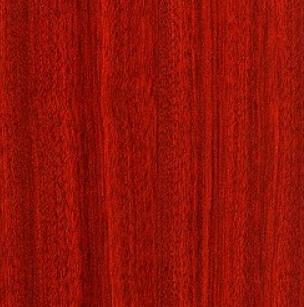 Featured image for Bloodwood