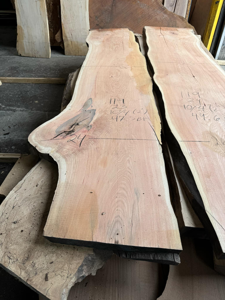 Honey Locust 119x23x10/4