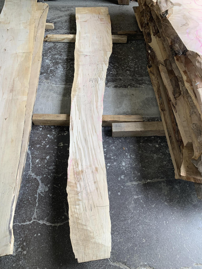 Ambrosia Maple 132x15x8/4