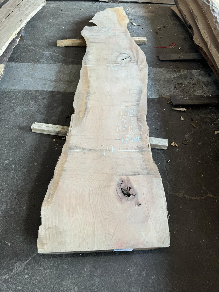 Sycamore 118x23x10/4