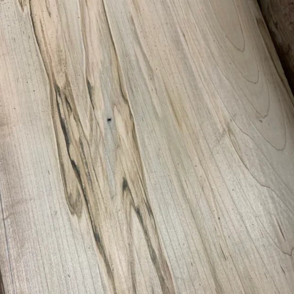 Featured image for Ambrosia Maple