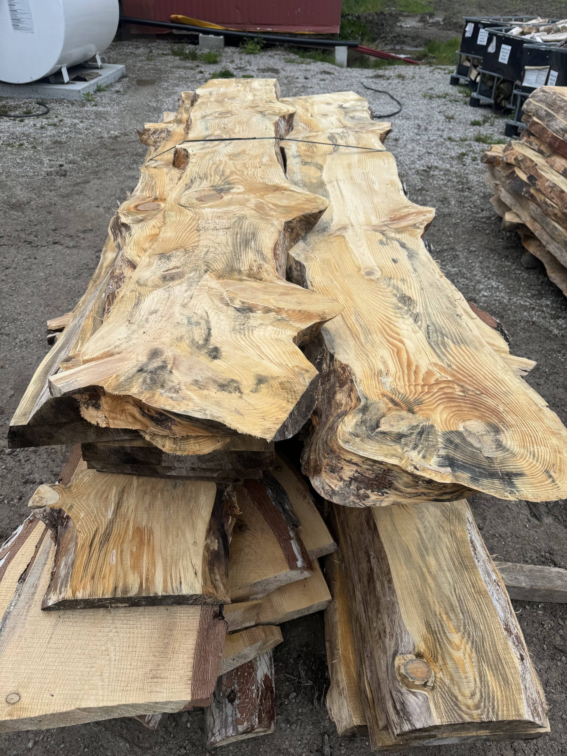 Featured image for Pine