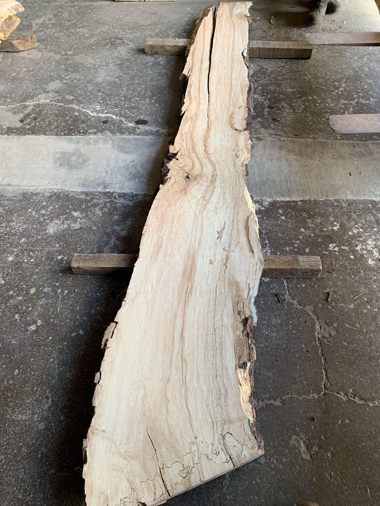 Sugar Maple 134x19x10/4