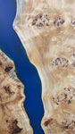 Mappa Burl48x24