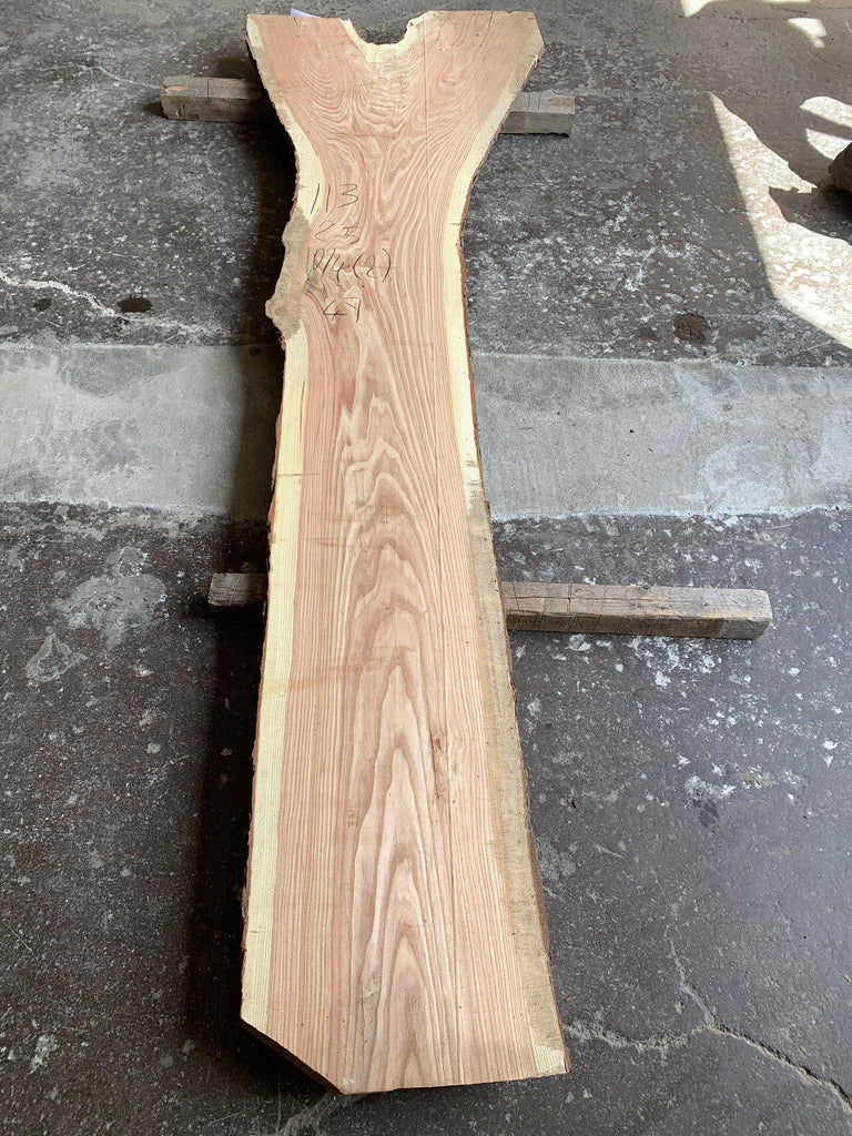 Honey Locust 113x25x10/4 (2)