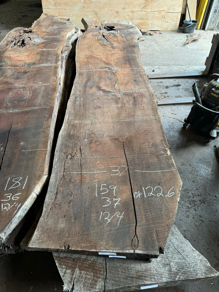 Black Walnut 159x37x12/4