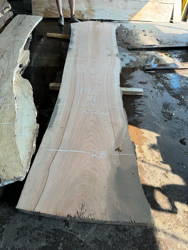 Cherry 146x31x10/4