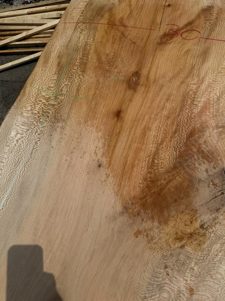 Sycamore 125x30x10/4