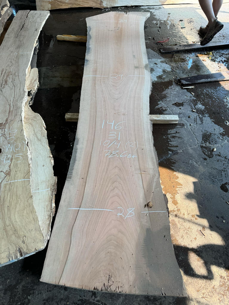 Cherry 146x31x10/4
