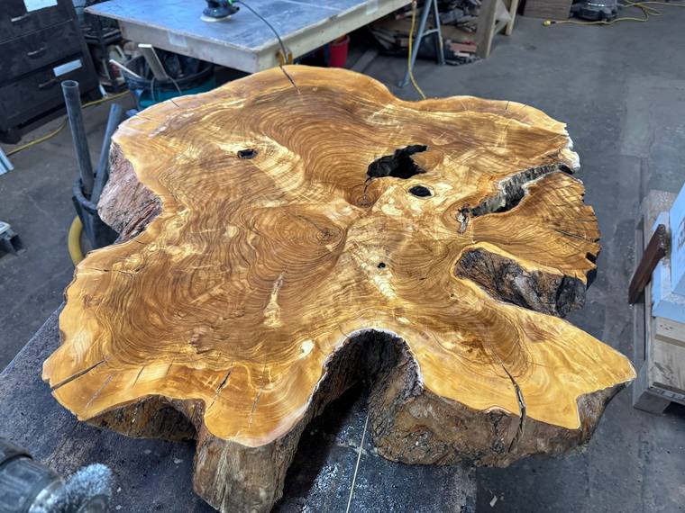 Burl cookie, surfaced in the shop